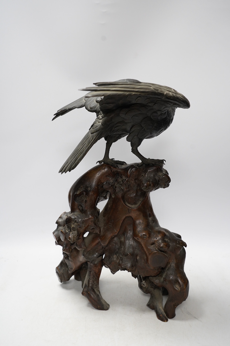 A Japanese Meiji period cast bronze model of a hawk, raised on a naturalistic carved root wood base, signed to tail underside, 39.5cm. Condition - good